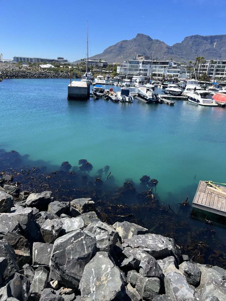 _leighlouw's tweet photo. Cape Town, you beaut 🤍 https://t.co/9DcD3tooDm