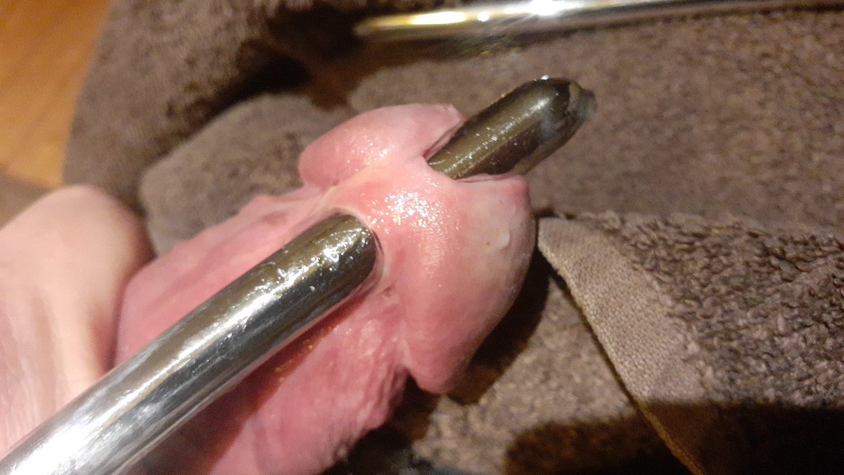 UncutSounder72's tweet photo. He is my hero!!! 
#cocksounding #urethralplay 
Ernst Alfred Hegar, was a German gynecologist famous for developing new medical tools and techniques, born in 1830 in Darmstadt, Germany and died on 5 August 1914. He was buried in Breisgau.

https://t.co/Akp5sW8EsE https://t.co/Fi61T6Hdm8