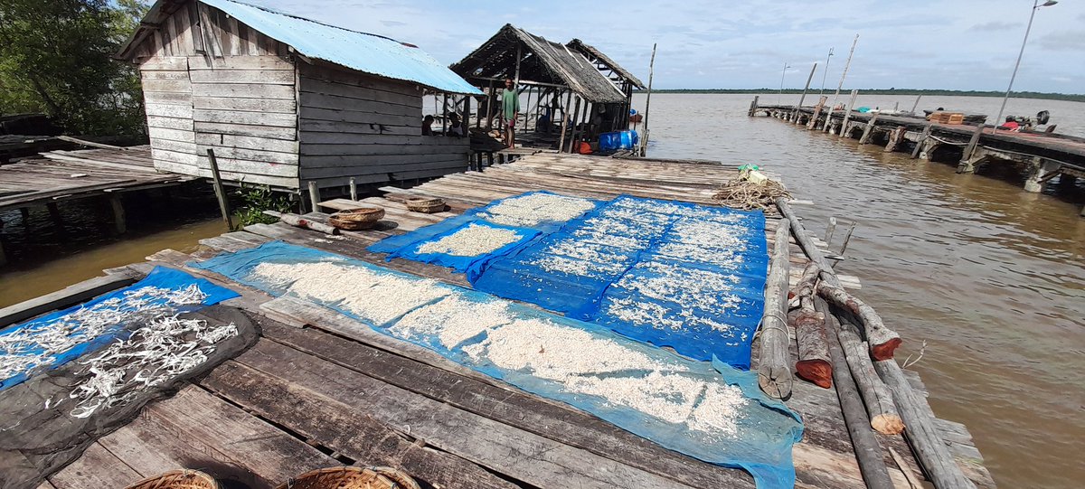 Heru Maruli tweet media