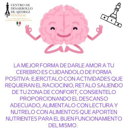 cedefenamacom's tweet photo. En nuestra academia Centro de Desarrollo de Ajedrez FENAMAC nos gusta cuidarte y por ello te damos tips para cuidar tu cuerpo. 

#ajedrezeducativo #cuidatucerebro #AjedrezParaTodos https://t.co/CRSQZia28e