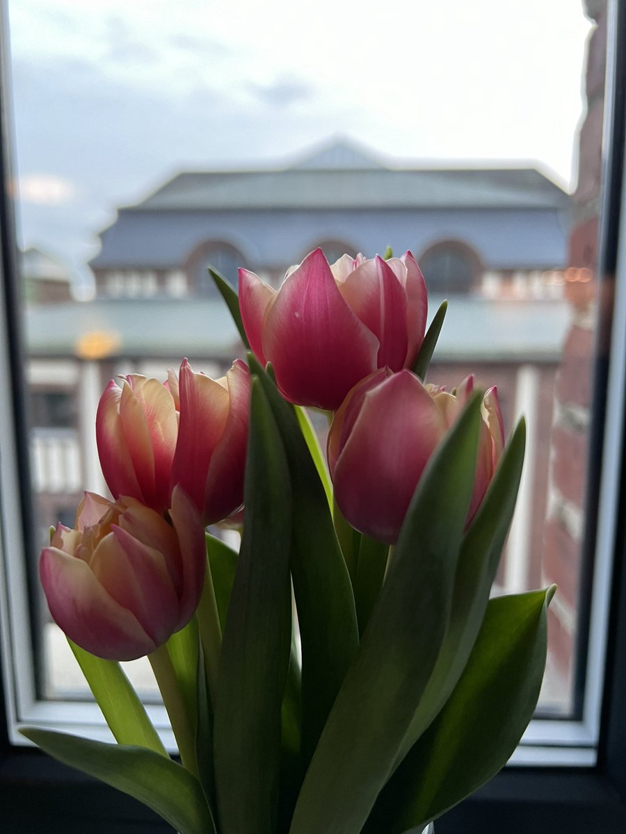 En_ja_'s tweet photo. Nach Weihnachten ist bei mir immer direkt Frühling. 🌷 https://t.co/YKypY7GgIh