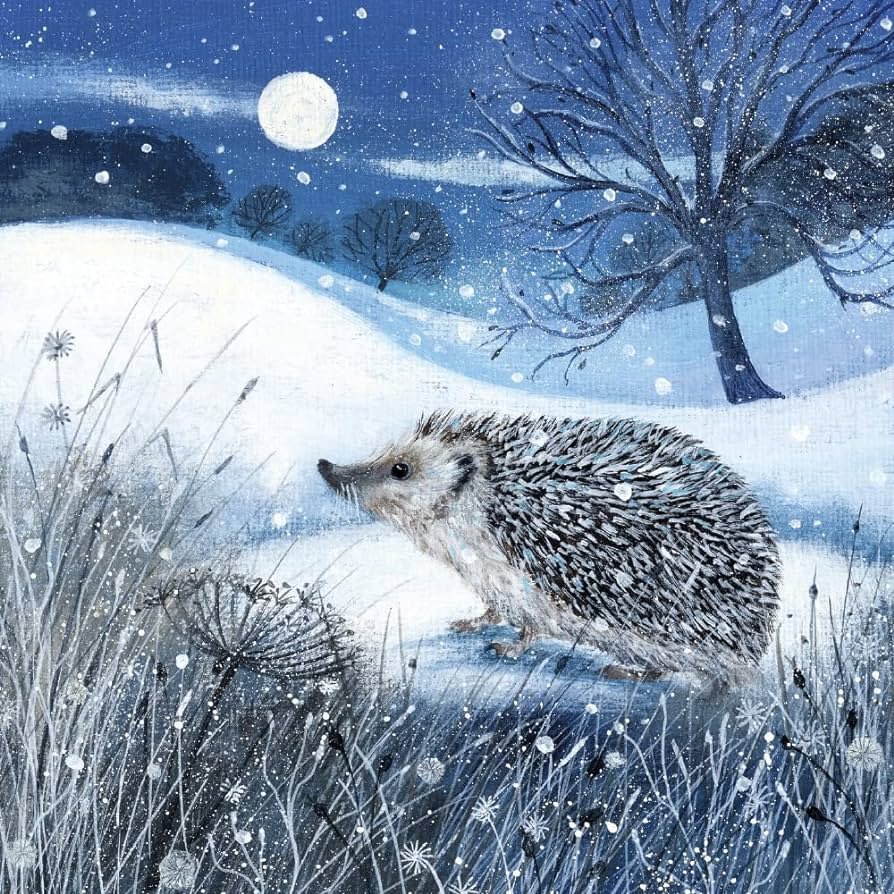 Sweet dreams, everyone ♥️ (Art by Lucy Grossmith)