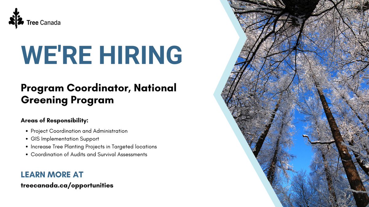 TreeCanada's tweet photo. 💼 @TreeCanada is currently hiring a Program Coordinator to assists in the implementation of the #NationalGreeningProgram, with specific focus on select projects (Eastern Canada) and various program level tasks.

Learn more about the position and apply: https://t.co/3s5hQErg8E https://t.co/3lGH1yf337
