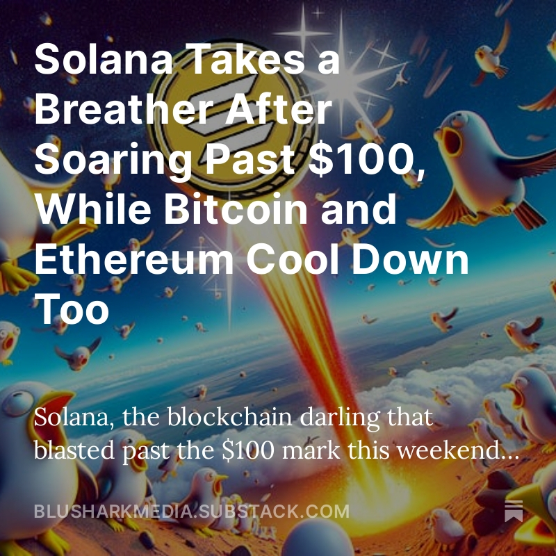 BluShark Media tweet media