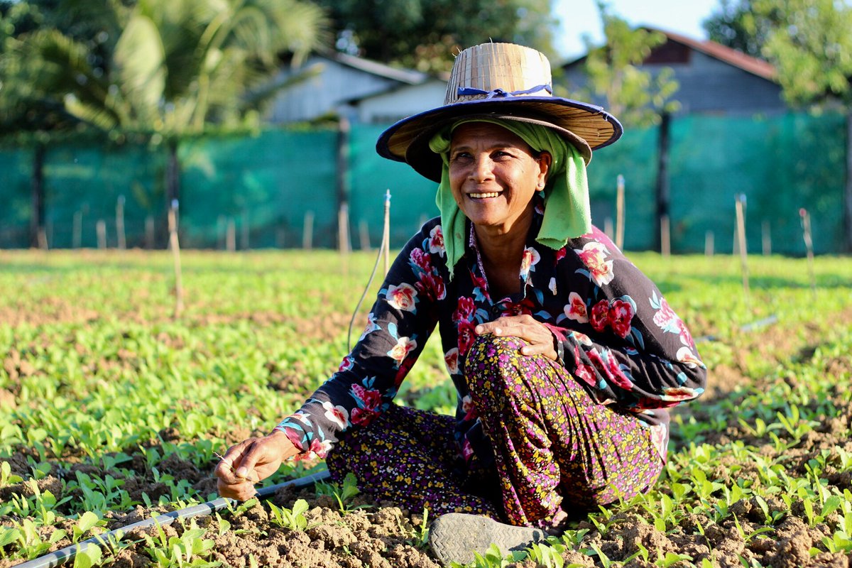 Hazel | Mobile Game That Helps the Climate tweet media