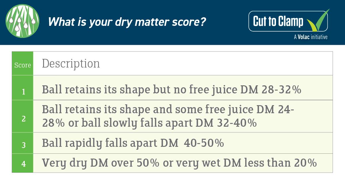 Silage Assessment - Dry Matter Score  🌱🐮
Assessing silage is crucial for ensuring proper nutrition, animal health, and farm efficiency. 

Do you know your dry matter score? Find out now! ⬇️ 

🌐 bit.ly/3TEBKnw #SilageAssessment #Nutrition #AnimalHealth #FarmEfficiency