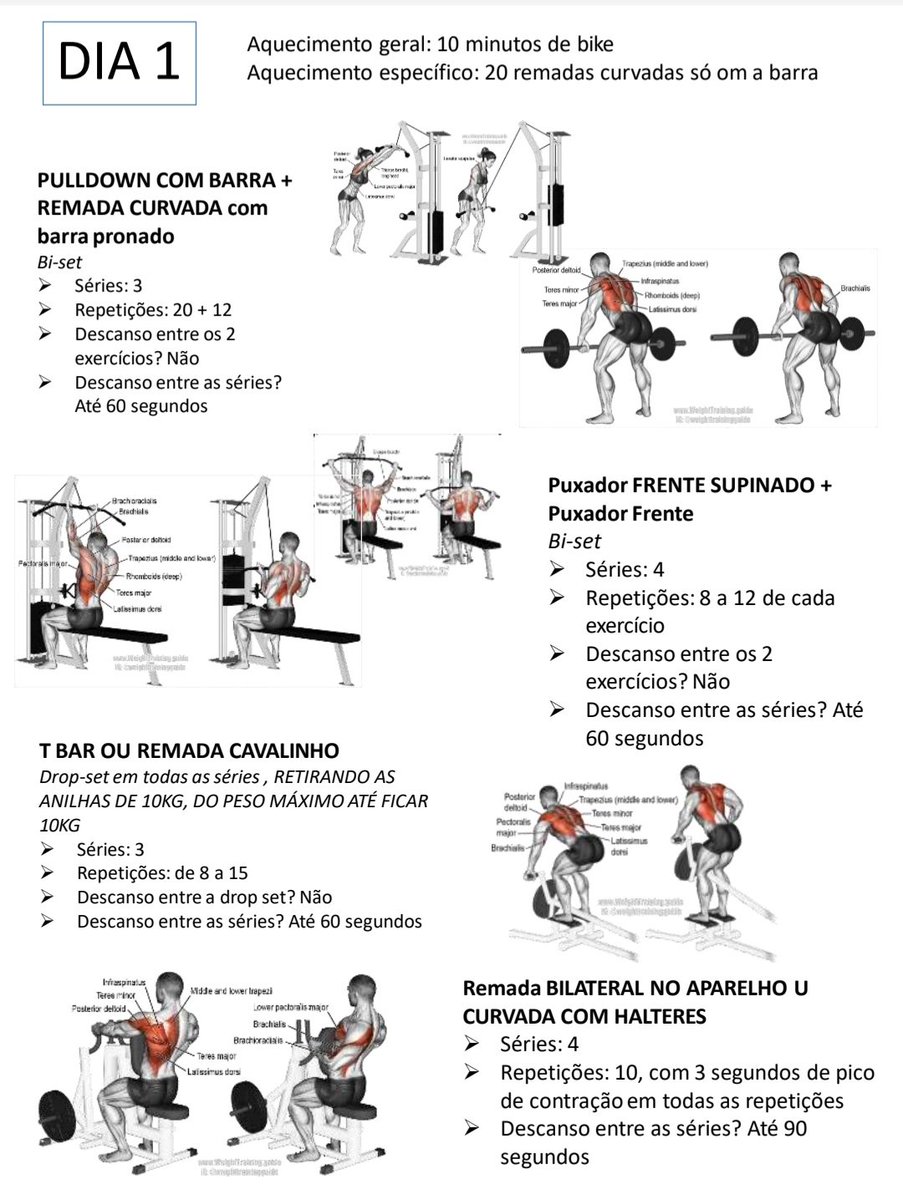 Professor DGFITNESS. tweet media