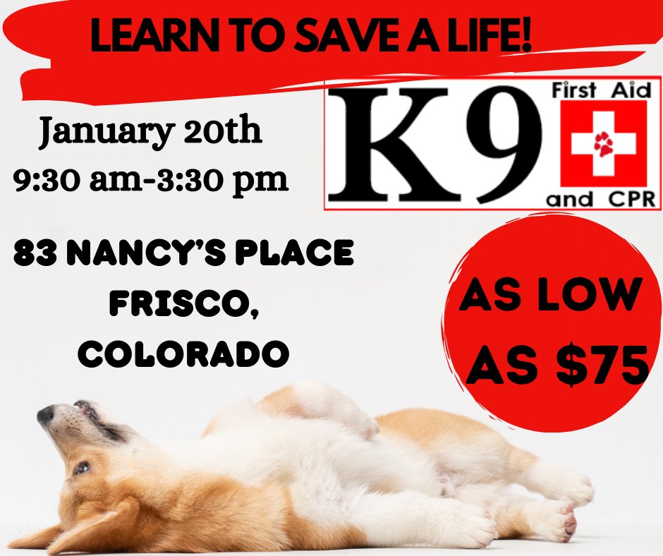 K9FirstAid_CPR's tweet image. 