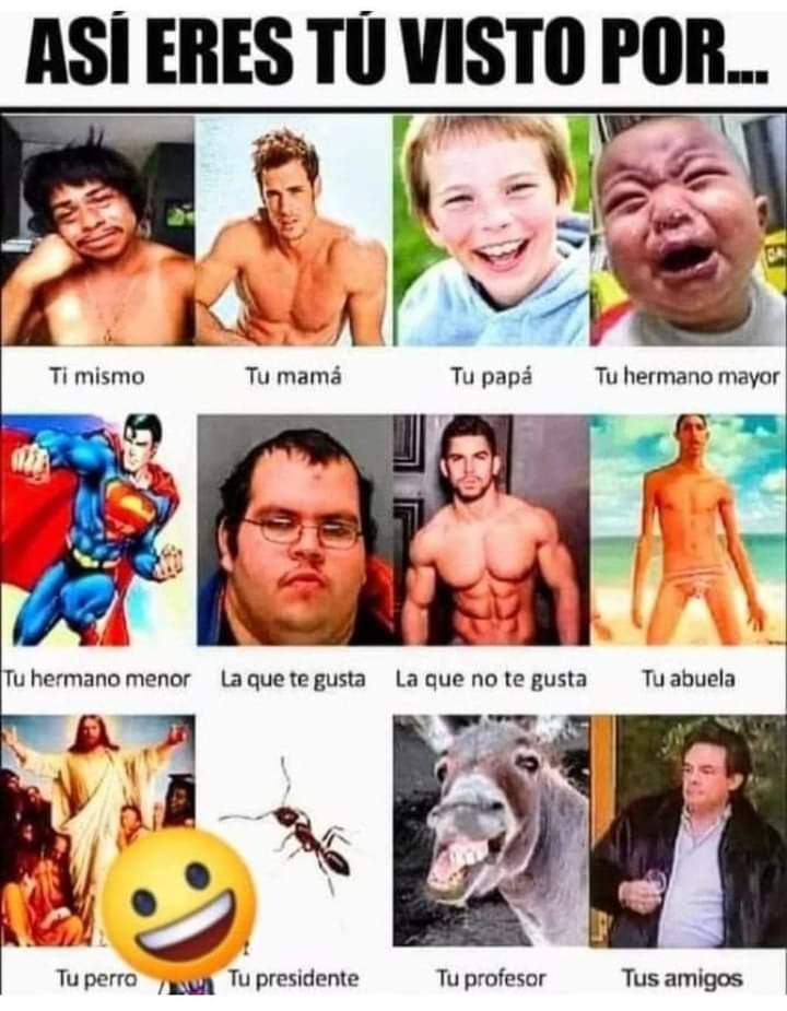 Brujo_Belico's tweet photo. Tu perro 😹💦 https://t.co/SsOe5Hm1ou