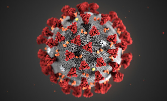 #COVIDUpdate | Delhi reports two fresh #COVID19  cases, samples sent for Genome Sequencing

@MoHFW_INDIA