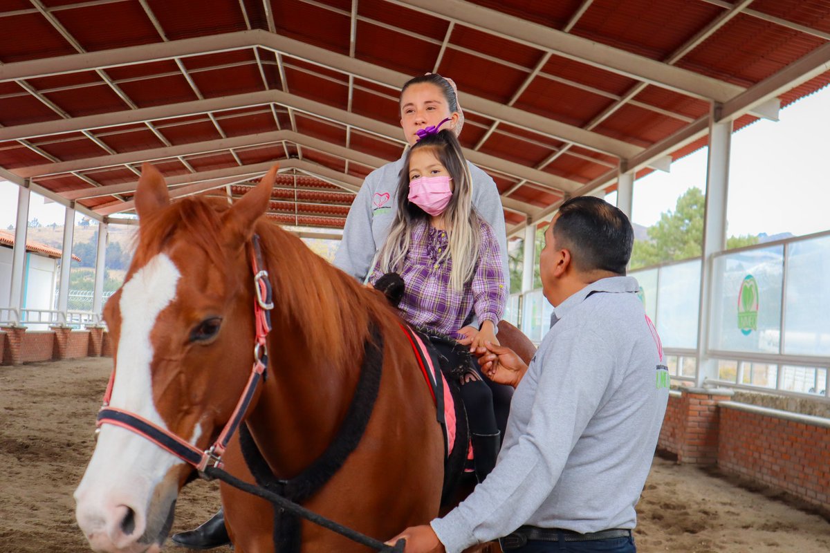 DIFTOLUCA's tweet photo. 🐎¿Conoces los beneficios de la Equinoterapia en personas con discapacidad?
Aumenta la motivación, estimula la afectividad, mejora la atención y estimula la sensibilidad táctil, visual, auditiva y olfativa.🙌🏽
Agenda tu terapia al 722 705 1398 a partir del 5 de Enero de 8am a 5pm https://t.co/J7gRJf6FqD