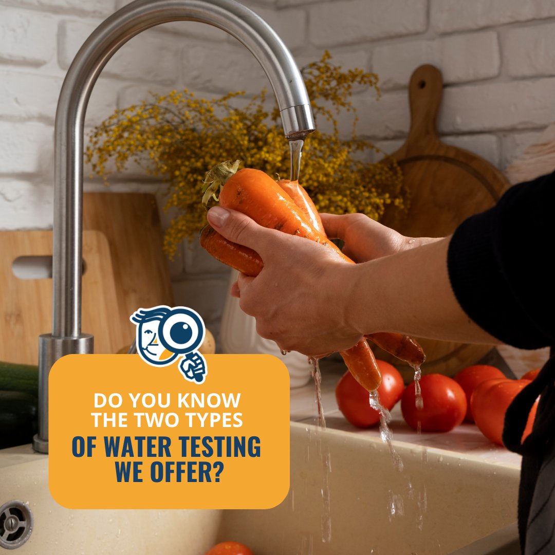 We offer bacteria testing with guaranteed results within 48 hours and well water testing results within 3-5 business days. 💦 

💡 To learn more visit our website. airqualityassessors.com

#floridahomeowners #floridabusinessowners #watertesting