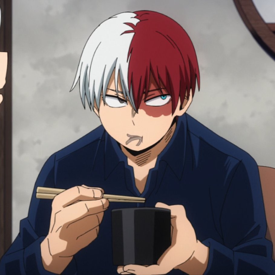 daily todoroki tweet media