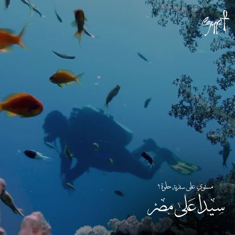 ar_experienceeg's tweet photo. مستوي على سفرية حلوة؟
 سيدا على مصر
 #experienceegypt