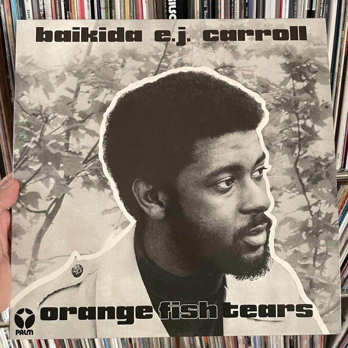 #NowPlaying Baikida E.J. Carroll - Orange Fish Tears (Palm, 1974 / SouffleContinu Records reissue, 2023). Trumpeter Baikida Carroll with Oliver Lake (saxophones, flute, percussions), Nana Vasconcelos (percussions) & Manuel Villarroel (acoustic and electric piano, percussions).
