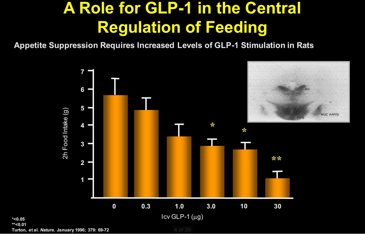 Things you heard in 2023 “the observations that GLP-1-based medicines might be useful for #weightloss #obesity was totally not predicted, just unexpected serendipity” vs. published science showing GLP-1 reduces food intake you could have read in 1996 @nature @NatureMedicine