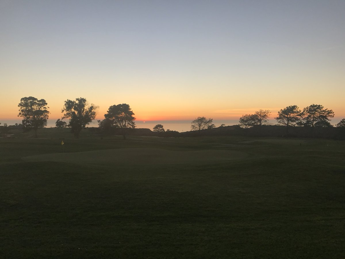 Maxwell Martin tweet media