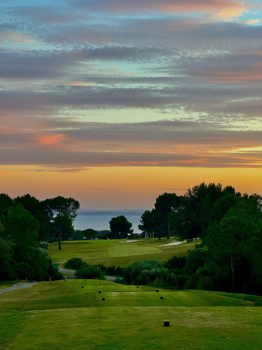 Maxwell Martin tweet media