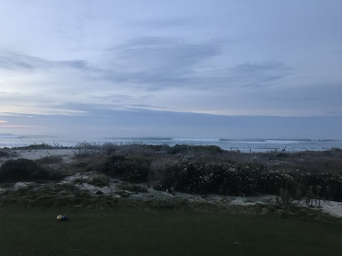 Maxwell Martin tweet media