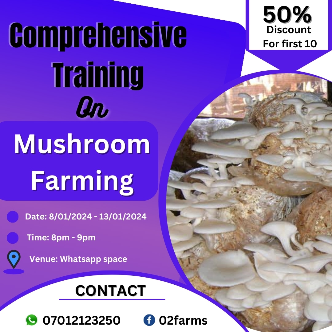 shield_johnson's tweet photo. Don't miss this golden opportunity for any reason, and there will be a 50% discount for first 10peoples.

Follow this link to join the WhatsApp group for proper orientation: 👇👇 https://t.co/awCldHWyeW

#Mushroom #farming #training #organic https://t.co/HNceG2N34v