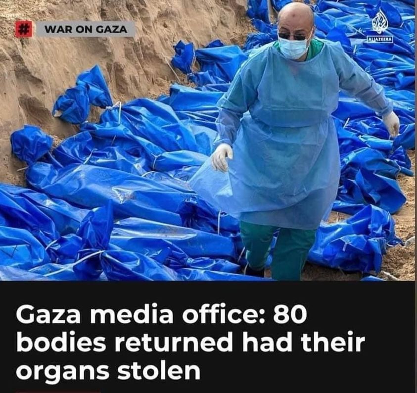 It is our duty, to keep speaking about Palestine 🇵🇸.
We will Never forget. 💔
ᖴᖇOᗰ TᕼE ᖇIᐯEᖇ TO TᕼE 𝓢Eᗩ,ᑭᗩᒪE𝓢TIᑎE ᗯIᒪᒪ ᗷE ᖴᖇEE! 🍉
ᖴᖇᗴᗴ ᑭᗩᒪᗴSTIᑎᗴ !!🇵🇸 ✌🏽
#GazaGenocide #FreePalestine