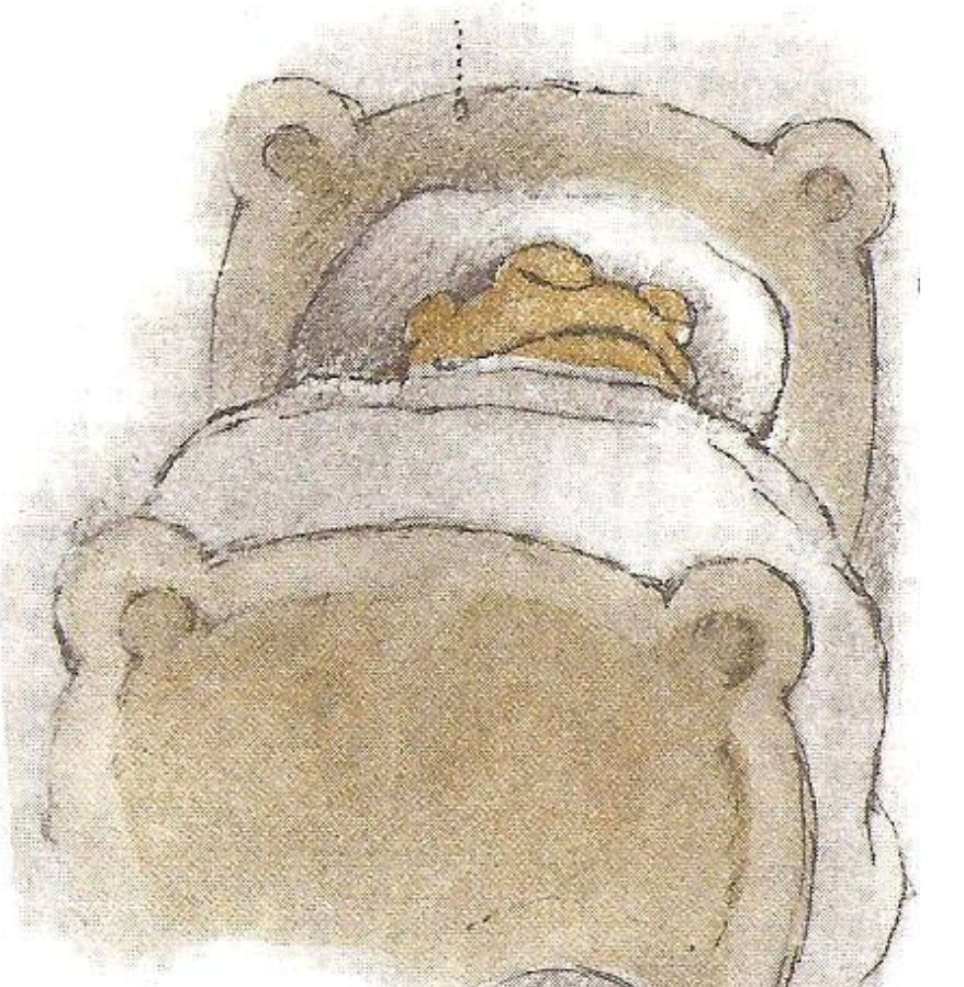 frogandtoadbook's tweet image. Toad did not answer. He had fallen asleep.
