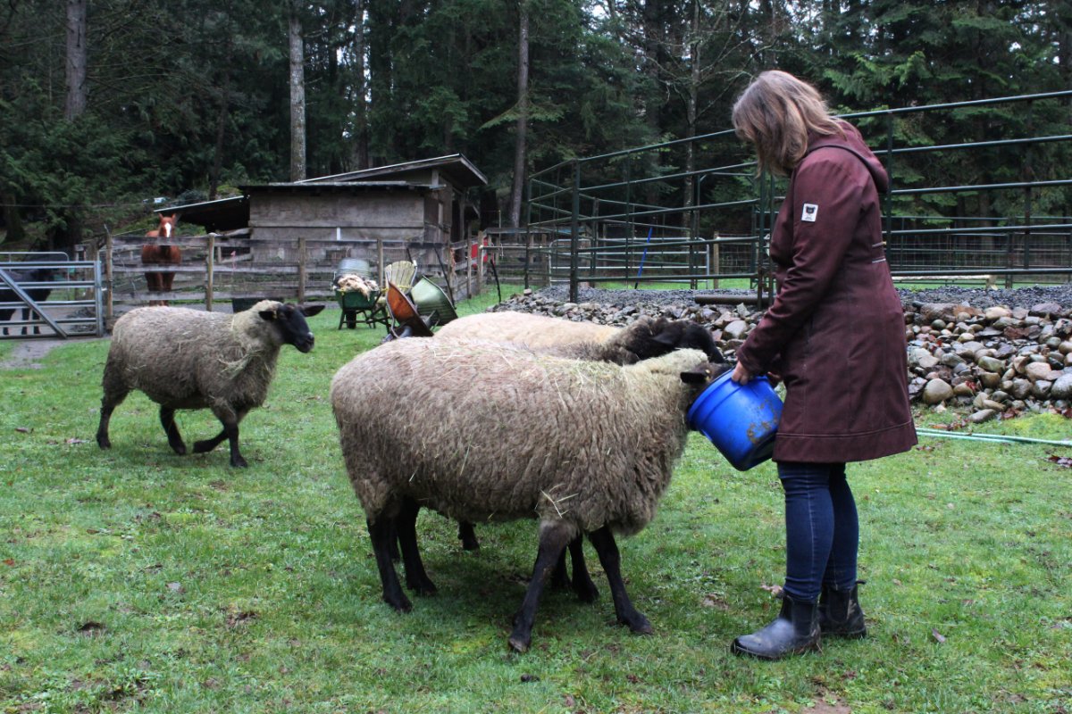 Ella Matte tweet media