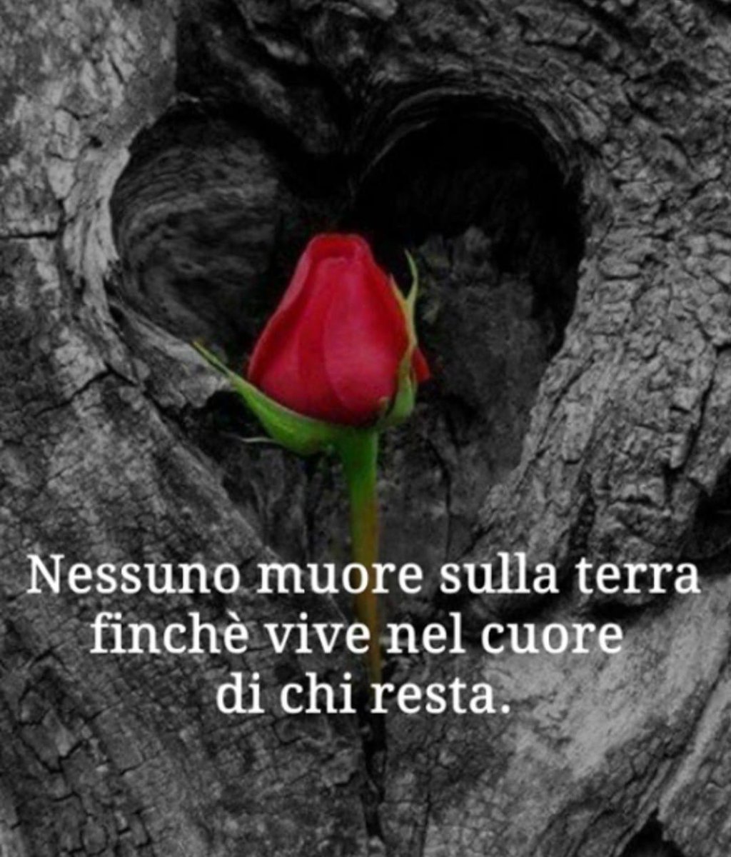 AgnSweetie's tweet photo. Con Amore a Te Mamma 🎶❤️🙏🎶💫👼🎶🌹 https://t.co/WNurC70WuG