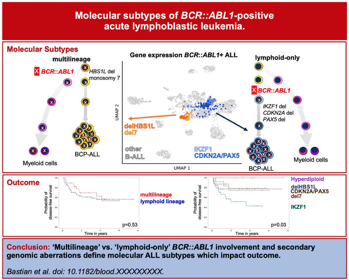 LBastian_MD's tweet photo. Wonderful ending of the year 🚀- our analysis of developmental and genomic subtypes in BCR::ABL1- positive ALL is out @BloodJournal - https://t.co/u5Eiy8ehRg! ✨Very grateful to our clinical research unit #catchall @kieluni / @UKSH_KI_HL and cooperation partners @leukaemielabor! https://t.co/zf1MK0K3tg
