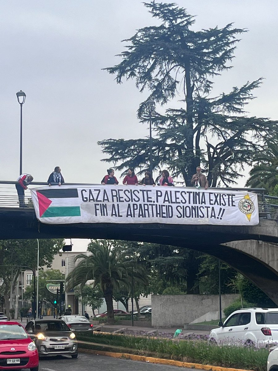 Coordinadora por Palestina tweet media