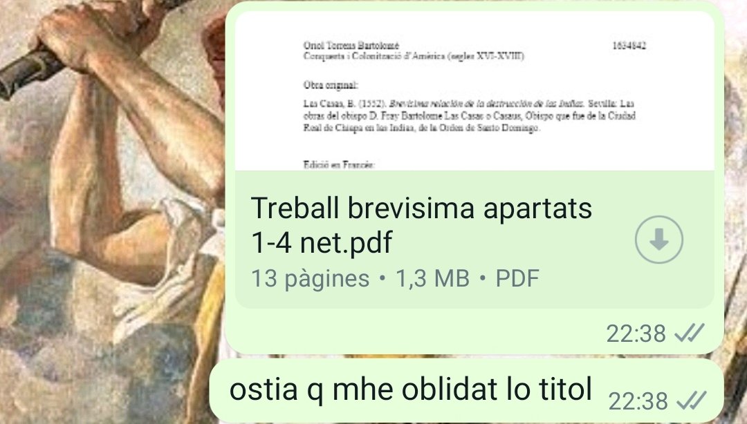 𝔅ocamoll tweet media