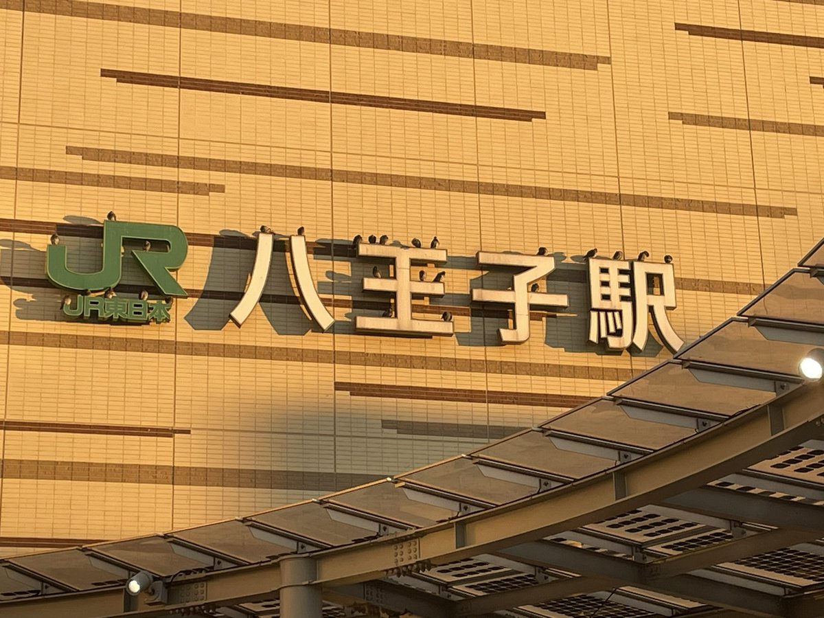 1038k's tweet photo. 早朝の八王子駅、ハトもお日様を��びて寒さを防ぐ。「八」は居住性が悪いのか人気がない。1番人気は「王」だ
#八王子 https://t.co/9Wj2aBkBPS