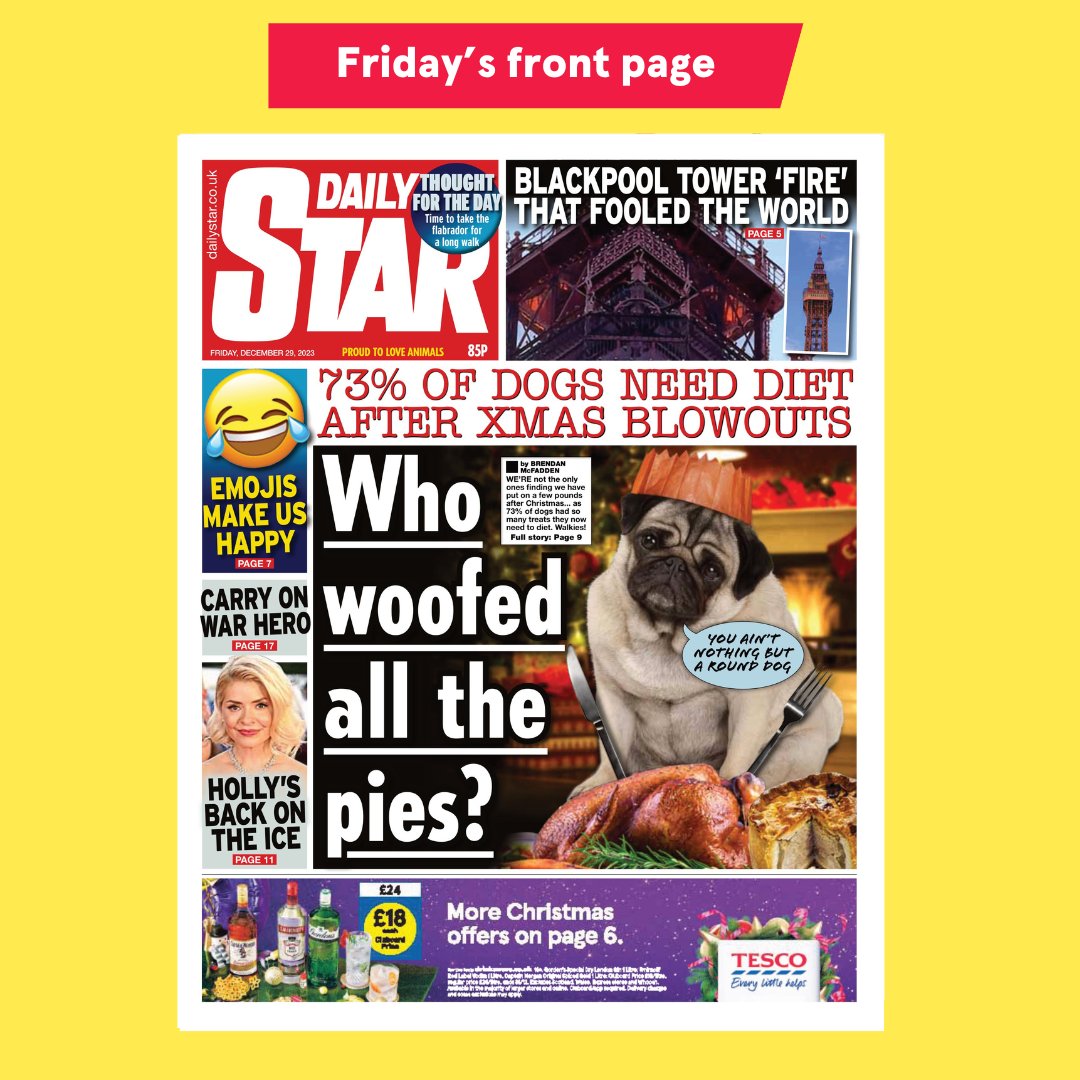 Podgy pooches ? #TomorrowsPapersToday 
