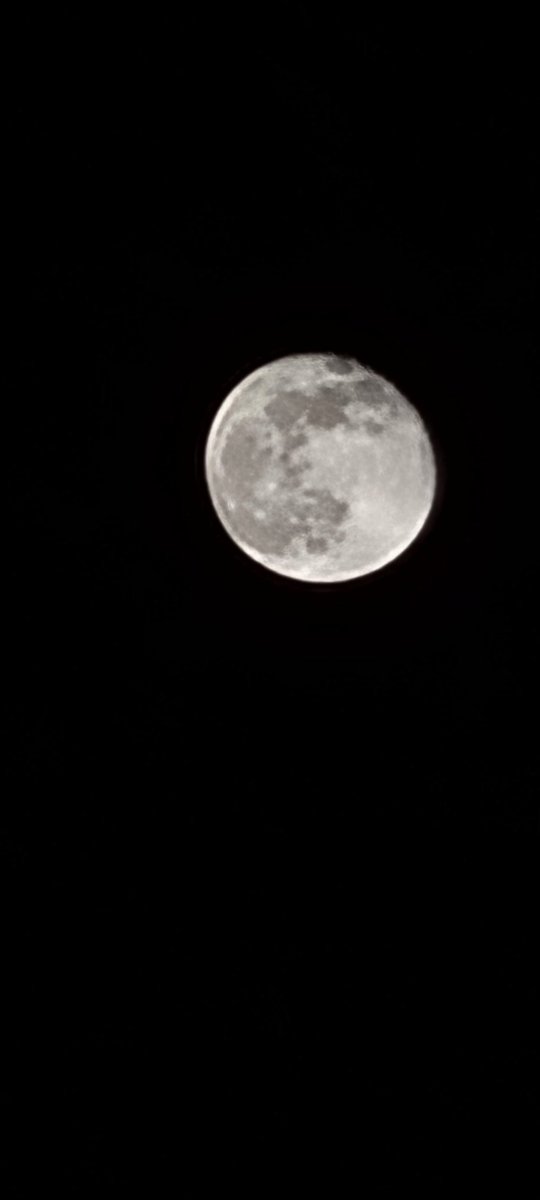 Marz Renbop tweet media