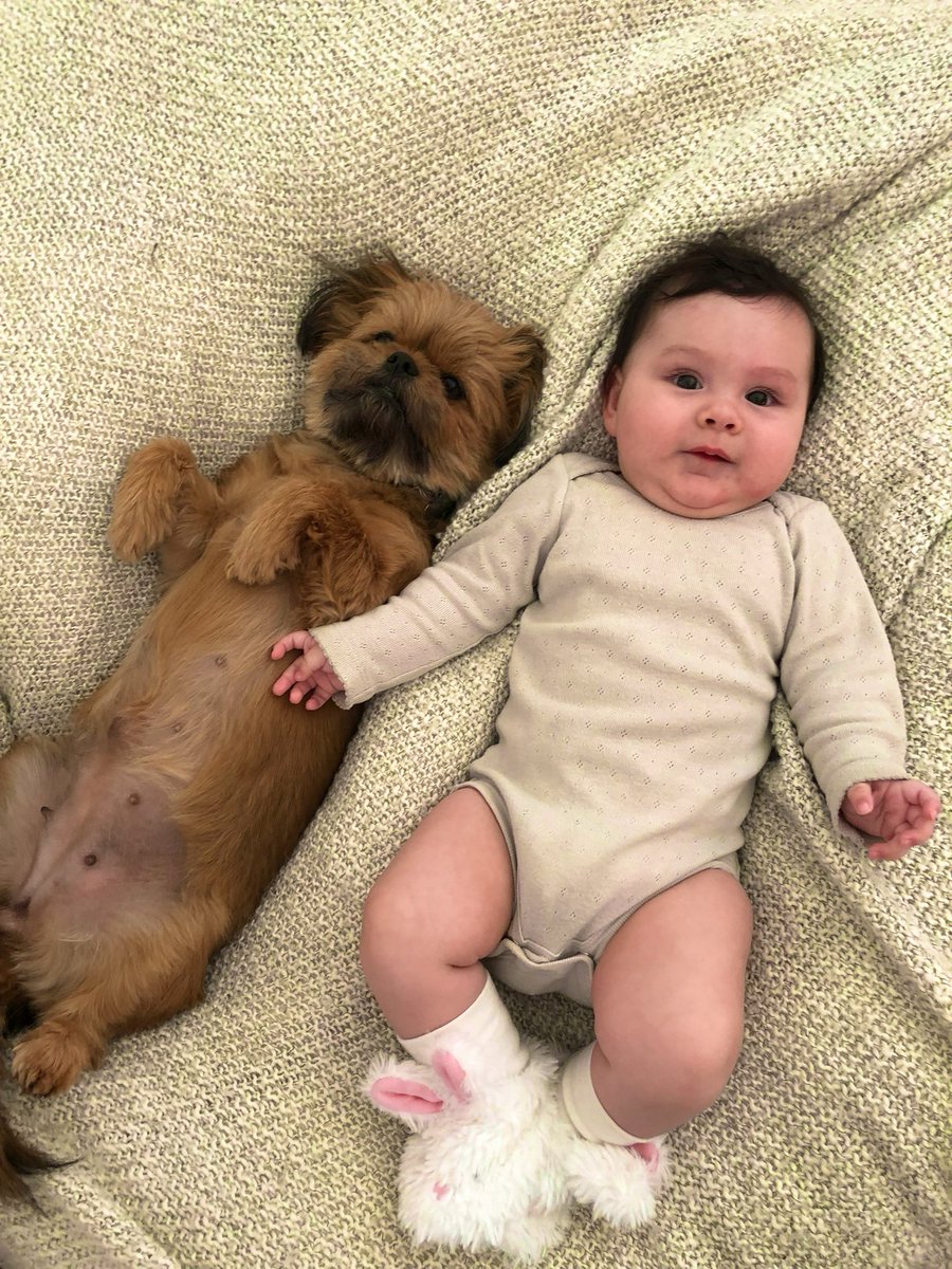 Phaltron The Mastermind 🧠 tweet media