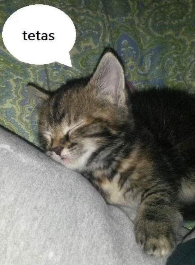 𝐄lio 𝐅aulkner. (@calmadorada) on Twitter photo 