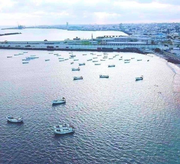 MogadishuMade's tweet image. #Mogadishu #Xamar 📸 🤷🏽‍♀️