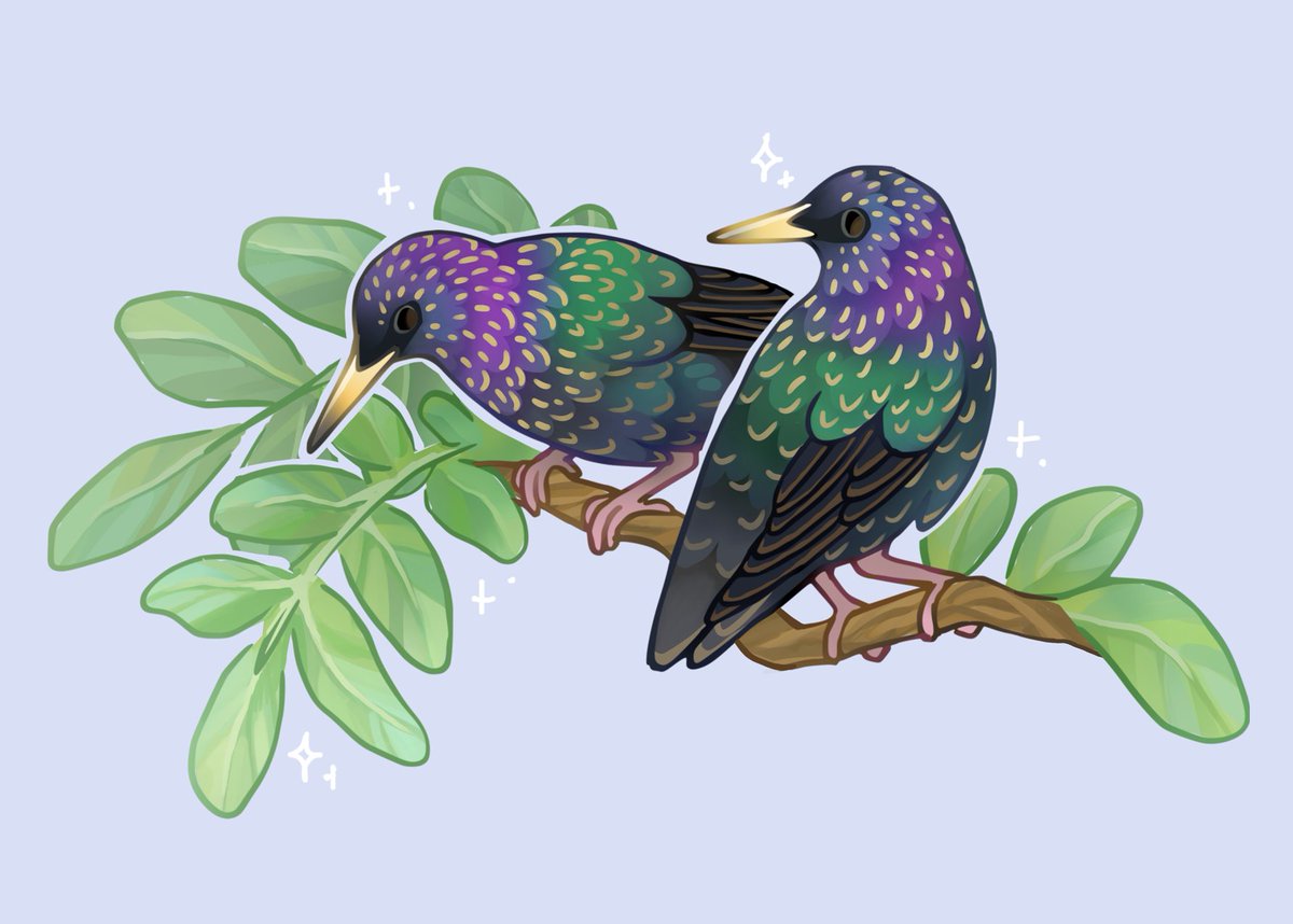 Doreen 💚 tweet media