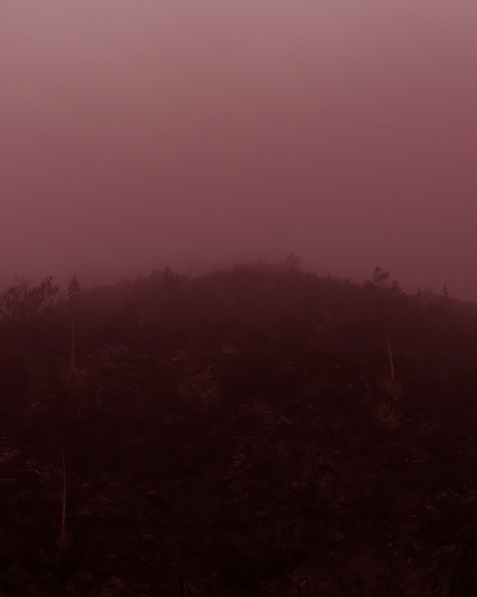 Neil Kryszak (@neilkryszak) on Twitter photo 