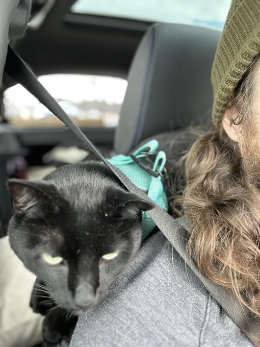 Terrible travel pillow https://t.co/5bemGWU0sF