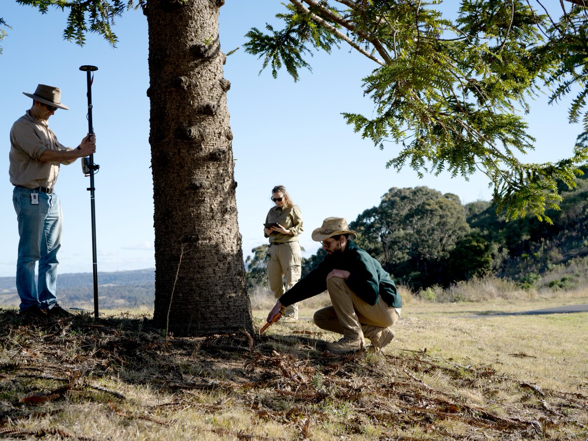 BotanicSydney's tweet image. Help protect #nature as we farewell 2023🌱  

It's the last chance to help support our scientists' crucial research and development efforts to help conserve Australia's #NativeFlora for a greener future. 

🌿 Donate before 31 Dec: bit.ly/3SMDigK