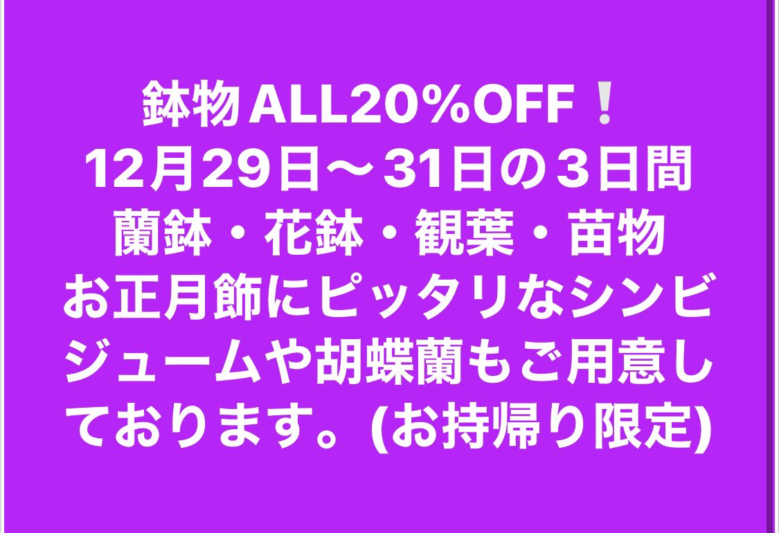 torayacc's tweet photo. 年末セール開催します。
お持ち帰り限定、鉢物のみ。 https://t.co/QDeTy4ldp2