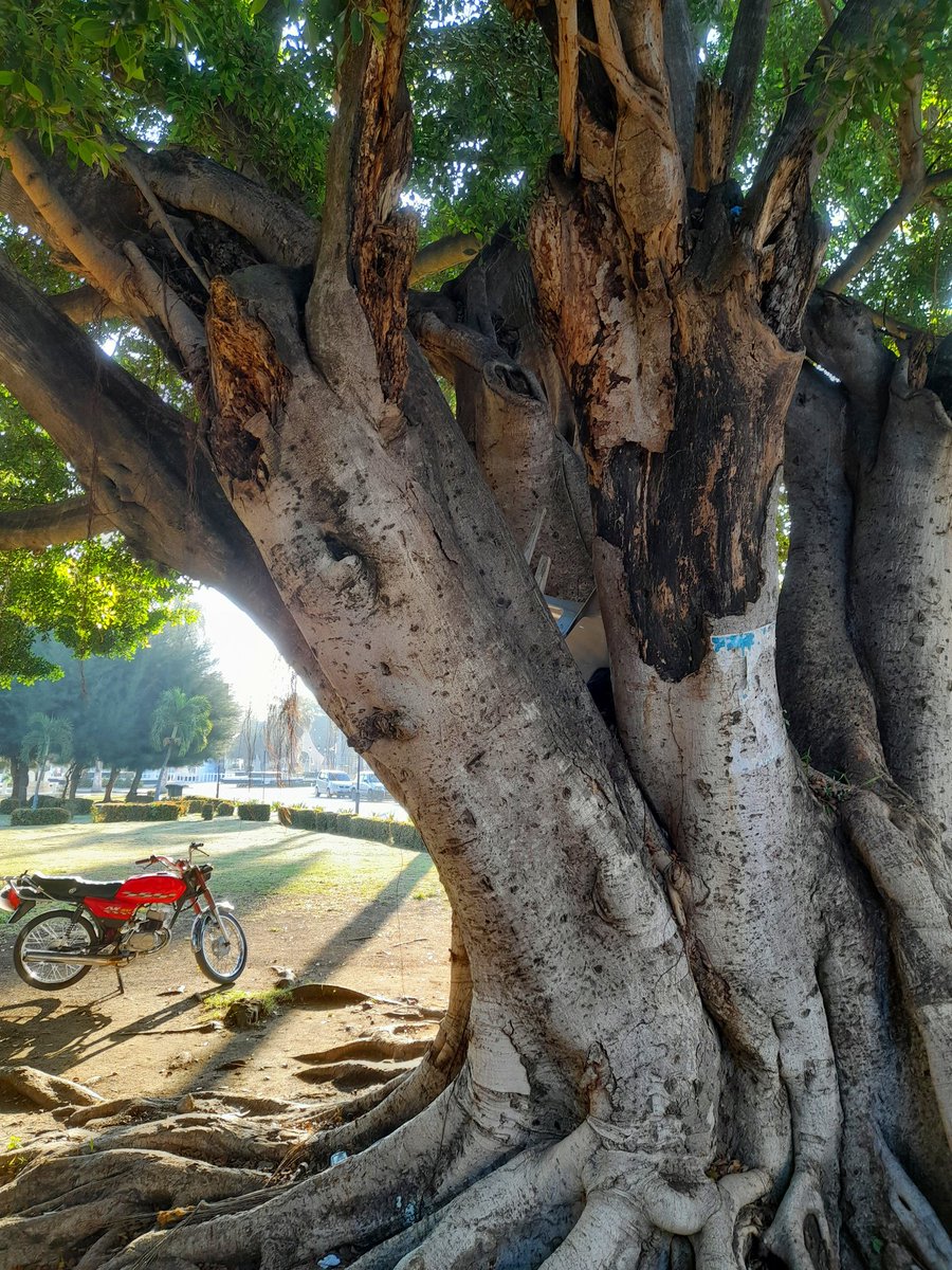 Judith Ravin tweet media