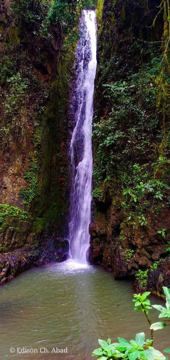 EliMontesdeoca7's tweet photo. #Guango #Pozul La cascada de Guango, un lugar mágico para disfrutar ❤
📷 Edison Ch. https://t.co/Ji0zbE1kdp