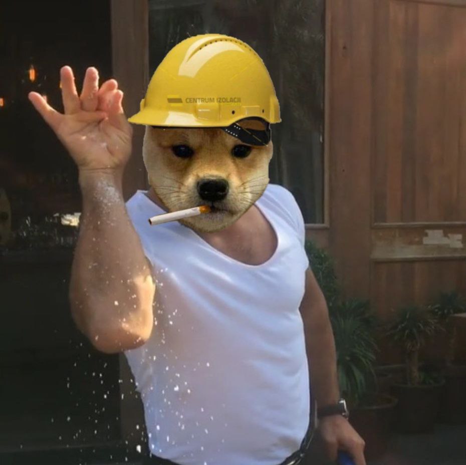 SmokingDogOnSol's tweet photo. We don't cook. We $smoke.
#SmokingDog #Solana https://t.co/WZSL2M0cBf