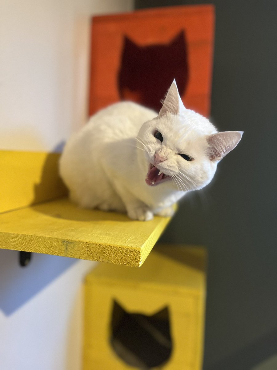 Ters gidemez, kimse kusura bakmasın.