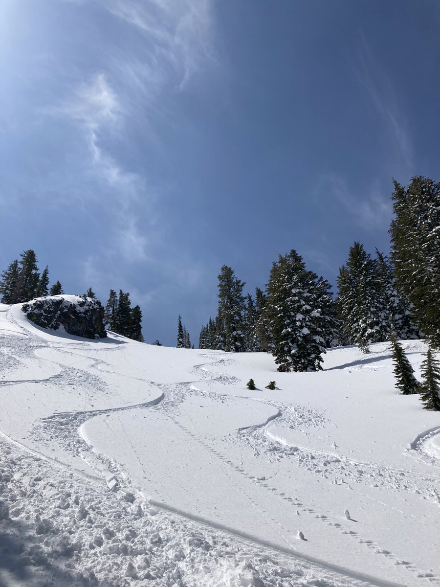 nvoutdoorrec's tweet photo. Season’s greetings from the Nevada Division of Outdoor Recreation! Wishing you snow filled days, warm winter fires and cups of hot cocoa or tea.

May the new year bring you smiles, plenty of turns, free refills, bluebird days and short lift lines. https://t.co/rYucEs8sAo