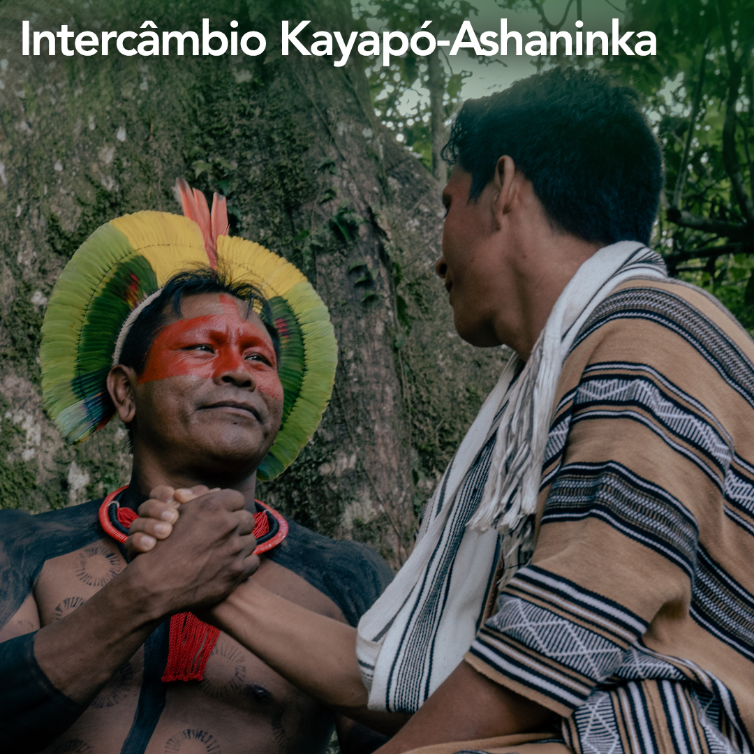 Tradição e Futuro na Amazônia tweet media