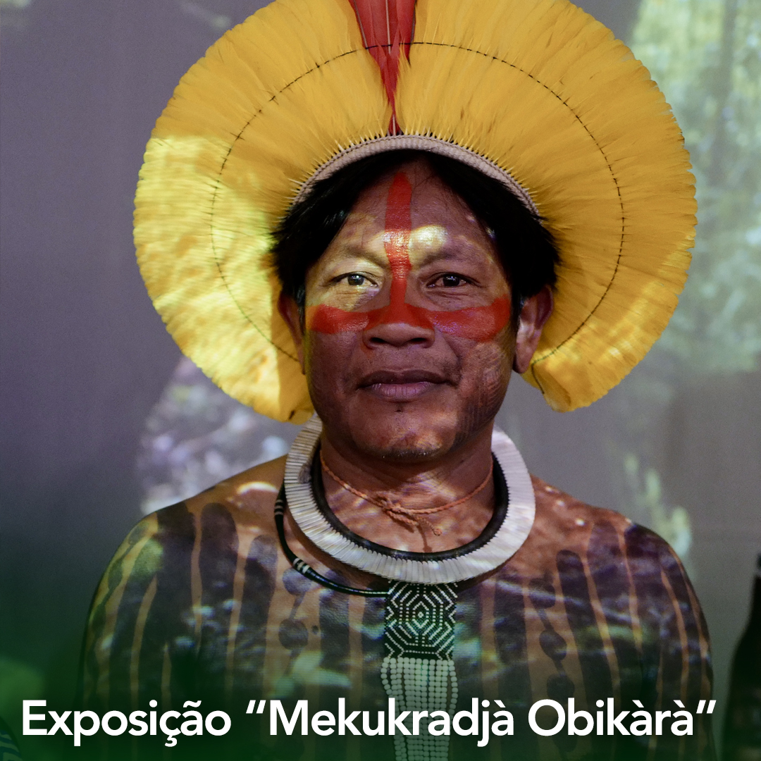 Tradição e Futuro na Amazônia tweet media