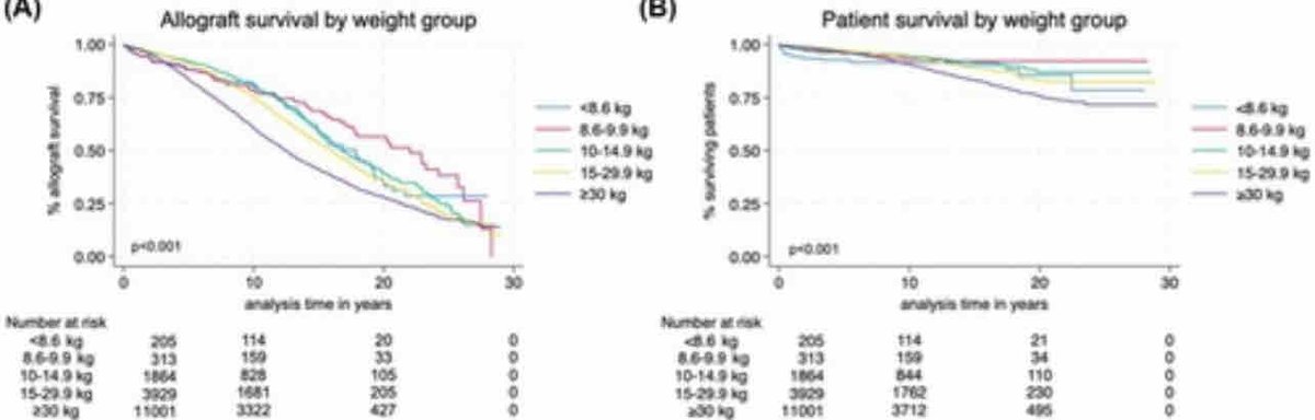 American Society of Pediatric Nephrology (@aspneph) on Twitter photo Changes in graft outcomes in recipients <10 kg over 25 years of pediatric kidney #transplantation in the United States ow.ly/jWRy50QmcCE @stELLAKILD <a href="/NicoleHayde2/">Nicole Hayde MD, MS</a> <a href="/herrsteinman/">Ben Steinman</a> @lurie_nu <a href="/MontefiorePeds/">Montefiore Pediatrics</a> #openaccess Changes in graft outcomes in recipients <10 kg over 25 years of pediatric kidney #transplantation in the United States ow.ly/jWRy50QmcCE @stELLAKILD <a href="/NicoleHayde2/">Nicole Hayde MD, MS</a> <a href="/herrsteinman/">Ben Steinman</a> @lurie_nu <a href="/MontefiorePeds/">Montefiore Pediatrics</a> #openaccess